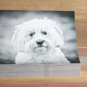 Standard Prints